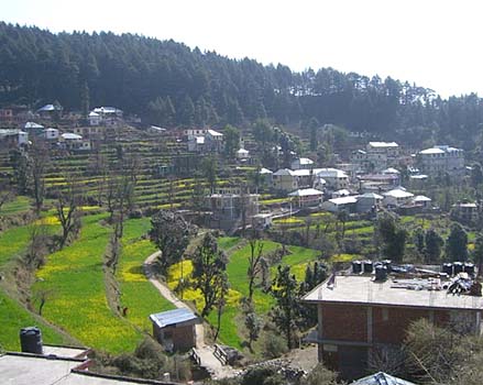 Dharamkot